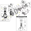 Pentair Pump Seal Repair Kit for Challenger Pump For Salt/Ozone
