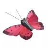 Banberry Designs Clip On Butterflies - Butterfly Clips with Feather