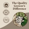 Quality Growers - The Moss Collection Variety Pack - Natural