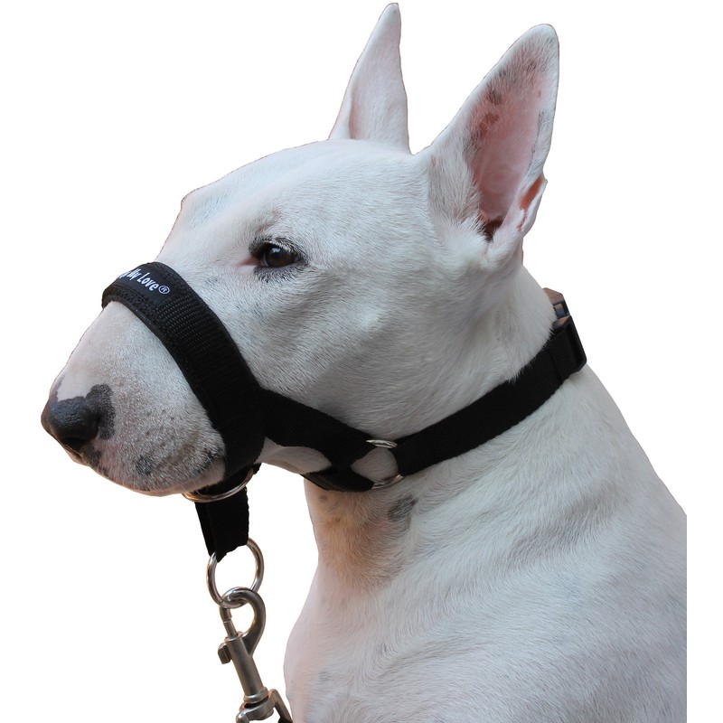 Dog Head Collar Halter Black (L 10.25inch12.25inch Snout)