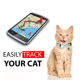 Airtags Cat Collar PF Doggy to Ensure the Safety and Monitoring of Your Cat (Blue Grey, Airtags Not Included)