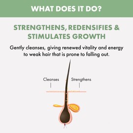 Alfaparf Milano Semi Di Lino Scalp Renew Energizing Shampoo and Tonic Duo Bundle