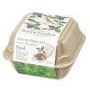 Seishin Pottery Bird & Garden Basil