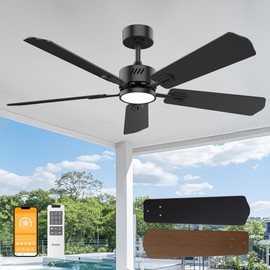 DAMINY 52 inch Ceiling Fan with Light,6CCT,5 Blade,Low Profile Ceiling Fan with Light and Remote Control,Downrods,Black,Living Room,Indoor/Outdoor Use