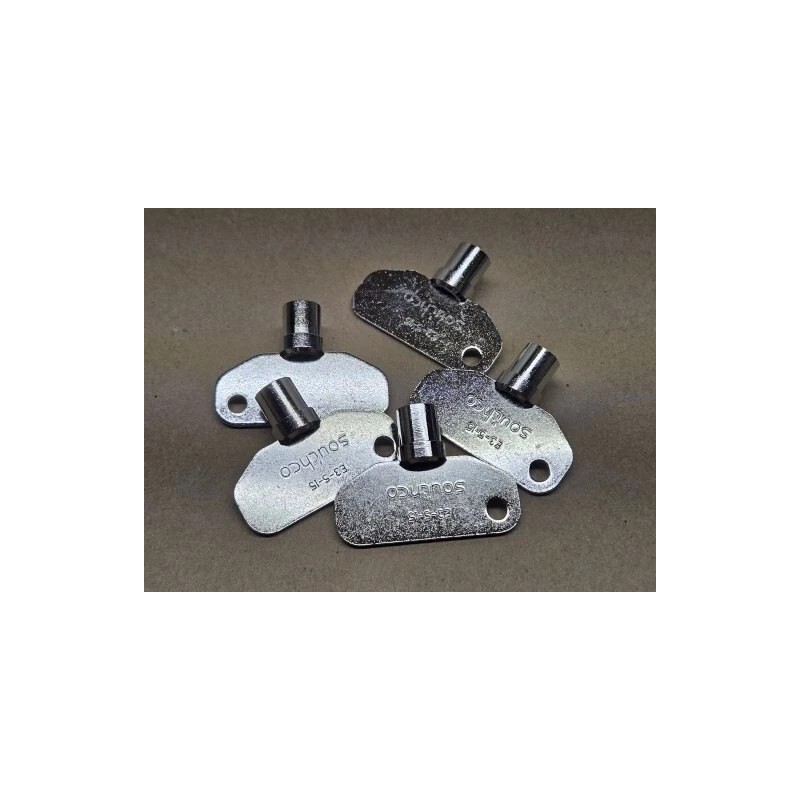 Southco E3-5-15 Barrel Key for RV or Motorhomes Trailer Camper
