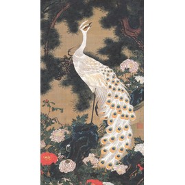 Painting Wallpaper Poster (Removable Self-stick) Ito 若冲 老松 Peacock Figure Fong When 媚 jingde Records of xyakutyuu Nativity 300 Year Character Black K – ITJ – 020s2 (336 mm × 603 mm) For Architectural Wallpaper + Weather Resistant Paint