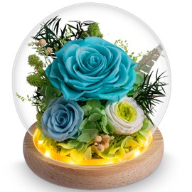 Valentine's Day Blue Roses Gifts for Her, Preserved Forever Flowers Bouquet in Glass Dome for Delivery Prime as Gifts for Women Mom Grandma Friend Wife Girlfriend on Birthday, Galentines, Mother's Day