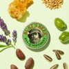 Burt's Bees Res-Q Ointment 15g / 버츠비 레스-큐 오인트먼트 15g