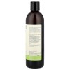 Botanical Body Wash, All Skin Types, Lime & Coconut, 16.91
