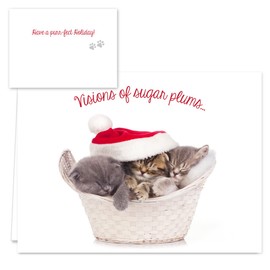 Canopy Street Christmas Cats Holiday Card Assortment Pack / 25 Seasonal Kitten Greeting Cards And Envelopes / 5 Sleeping Santa Animal Designs And Christmas Messages