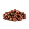 NUTS U.S. - Oregon Hazelnuts (Filberts) | Raw and Unsalted