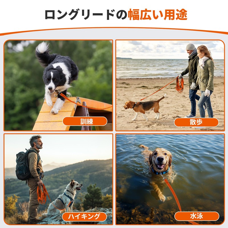Dog Leash Long Leash for Dog Training, Training for Large