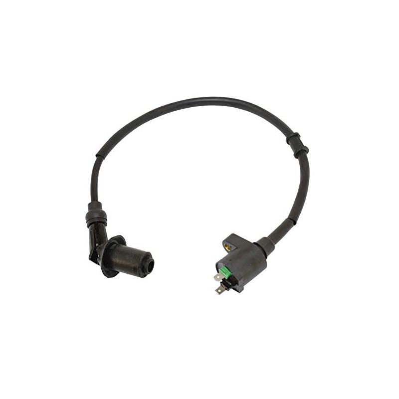 New Ignition Coil 150cc 250cc Hammerhead Carter Joyner Go Kart