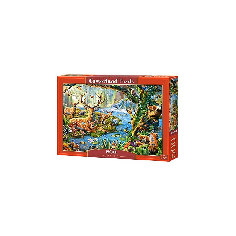 Castorland CSB52929 Puzzle, Various