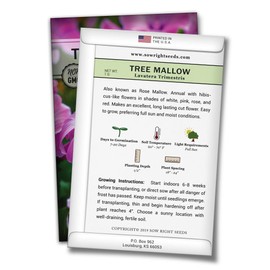 Sow Right Seeds - Tree Mallow Hibiscus Seeds to Plant - Full Instructions for Planting and Growing a Beautiful Flower Garden; Non-GMO Heirloom Seeds; Wonderful Gardening Gift (1)