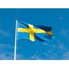 ANCONINE Sweden Flag 4x6 FT, Swedish National Flags with 2