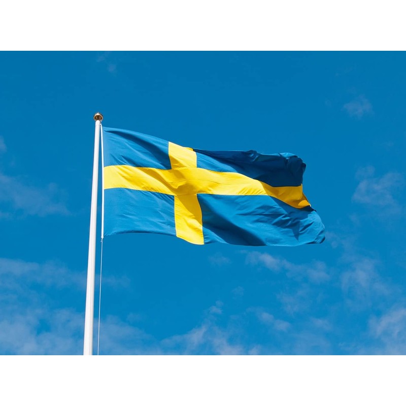 ANCONINE Sweden Flag 4x6 FT, Swedish National Flags with 2