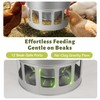 KOL Hanging Chicken Feeder – 20lbs Metal Chicken Feeder, Adjustable