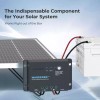 Renogy Wanderer Li 30A 12V PWM Negative Ground Solar Charge