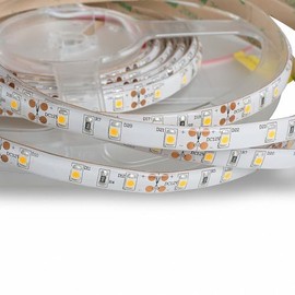 Mextronic LED Strip LED Strip 3528 Neutral White (4000K) 48 W 500 cm 12 V IP44