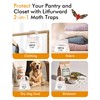 Pantry Moth Traps - Extra Strength Hanging Clothes Clothing Moth