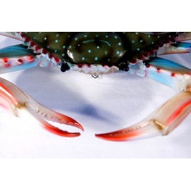 Charlotte International Large Replica Chesapeake Bay Blue Crab Wall Decor