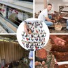 Colrid Egg Apron, Egg Apron Collecting, Egg Apron Apron, Farm