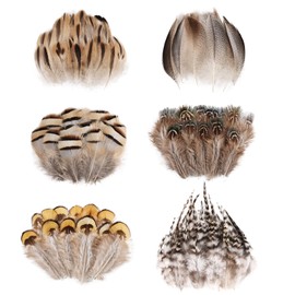 Daieeparty 180pcs Small Pheasant Feathers 6 Style Mixed Feathers Natural Feathers for Crafting Wedding Dream Catcher Hats Decoration