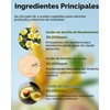 TOCOBO Lip Balm Bálsamo Labial Hidratante y Nutritivo con Vitaminas