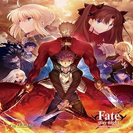 Fate/Stay Wall Scroll, Poster, One Size, Multicolor