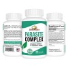 Rise-N-Shine, LLC Parasite Complex – Herbal Cleanse for Gut &