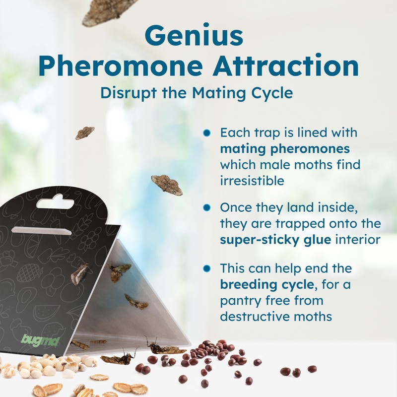 BugMD Pantry Moth Traps (18-Pack) – Pheromone-Based Sticky Glue Traps,