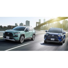 [With Mini Waste] New RAV4 XA50 Series Fog Side Garnish, Fog Cover, Plated, For Normal Bumper Dedicated Grill, Side Garnish, Fog Cover, Headlight Cover, Tail Cover, Steering Wheel Cover, Carbon