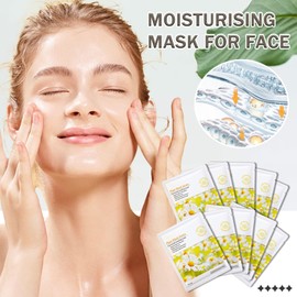 10PCS Face Mask Set,Moisturizing Facial Sheet Mask,Hydrating Face Mask Skin Care(H)