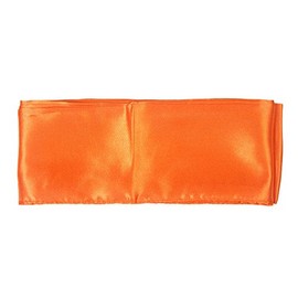Tiger Claw Kung Fu (Kungfu) Orange Sash