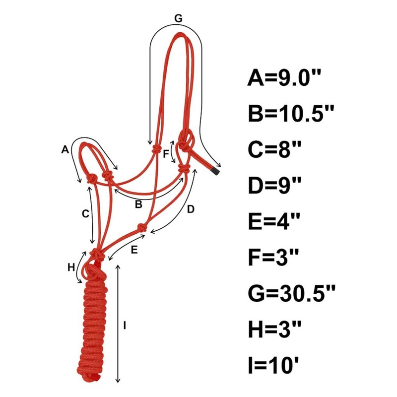 Majestic Ally 1/4" Rope 4 Knot Stiff Polyester Training Halter