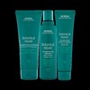 Aveda Botanical Repair Trio Bundle w/ Leave In Treatment
