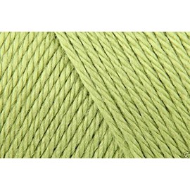 Caron Simply Soft Acrylic Aran Knitting Wool Yarn 170g - 0003 Pistachio