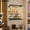 LANSCOERY Acrylic Display Case, Wall Mounted Lighted, 5 Tier, Black