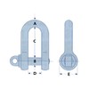 X2 1 Ton Galvanised Small Dee Shackle with Screw Pin