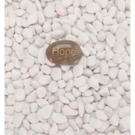 Lechloris 2LBS Polished Pebbles for Plants -Natural River Rocks- Decorative Stones for Vases, Succulents, Fish Tank, Outdoor Garden Landscaping, Small Snow White