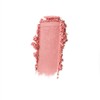 Chantecaille Philanthropy Cheek Shade Collection 2.5g - Grace with Turtle