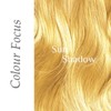 Desert Shadow Organic Hair Dye, Chestnut Shadow 100g