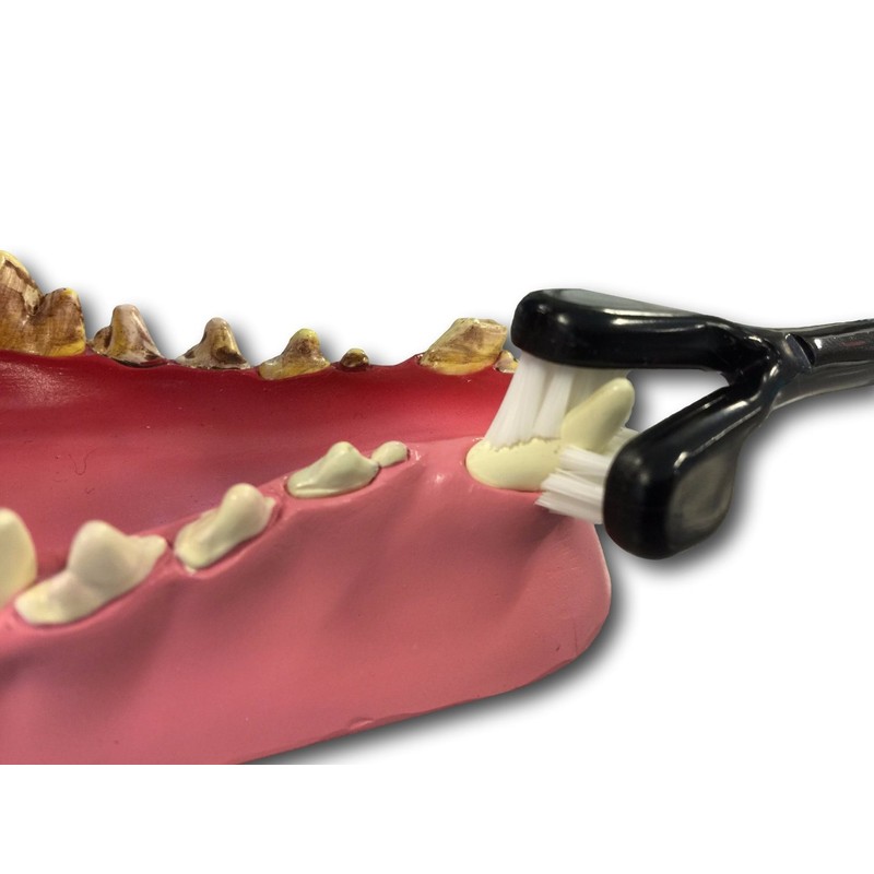 Petosan Complete Dental Kit for Large Dogs, Black,White