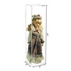 Better Display Cases Clear Acrylic Figure Display Case for Figurine
