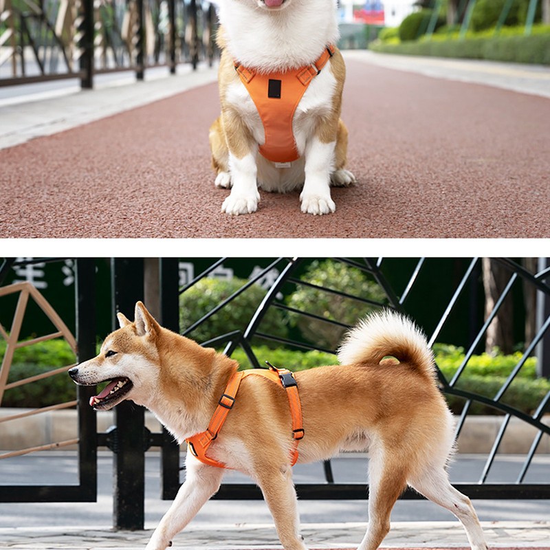 Dog Vest Leash Reflective Adjustable Multifunctional Comfortable Medium to Large