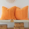 JOJUSIS Pack of 2 Faux Fur Plush Decorative Throw Pillow