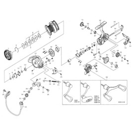 DAIWA Genuine Part 18 Legalis LT3000-CXH Spool (2-6) Part Number 6 Part Code 128C65 00060016128C65