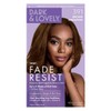 Dark & Lovely Color #391 Brown Cinnamon (Pack of 6)