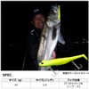 Daiwa Sea Bass/Flounder Lure SB-Rodem TG 30g, Chart H Sardine